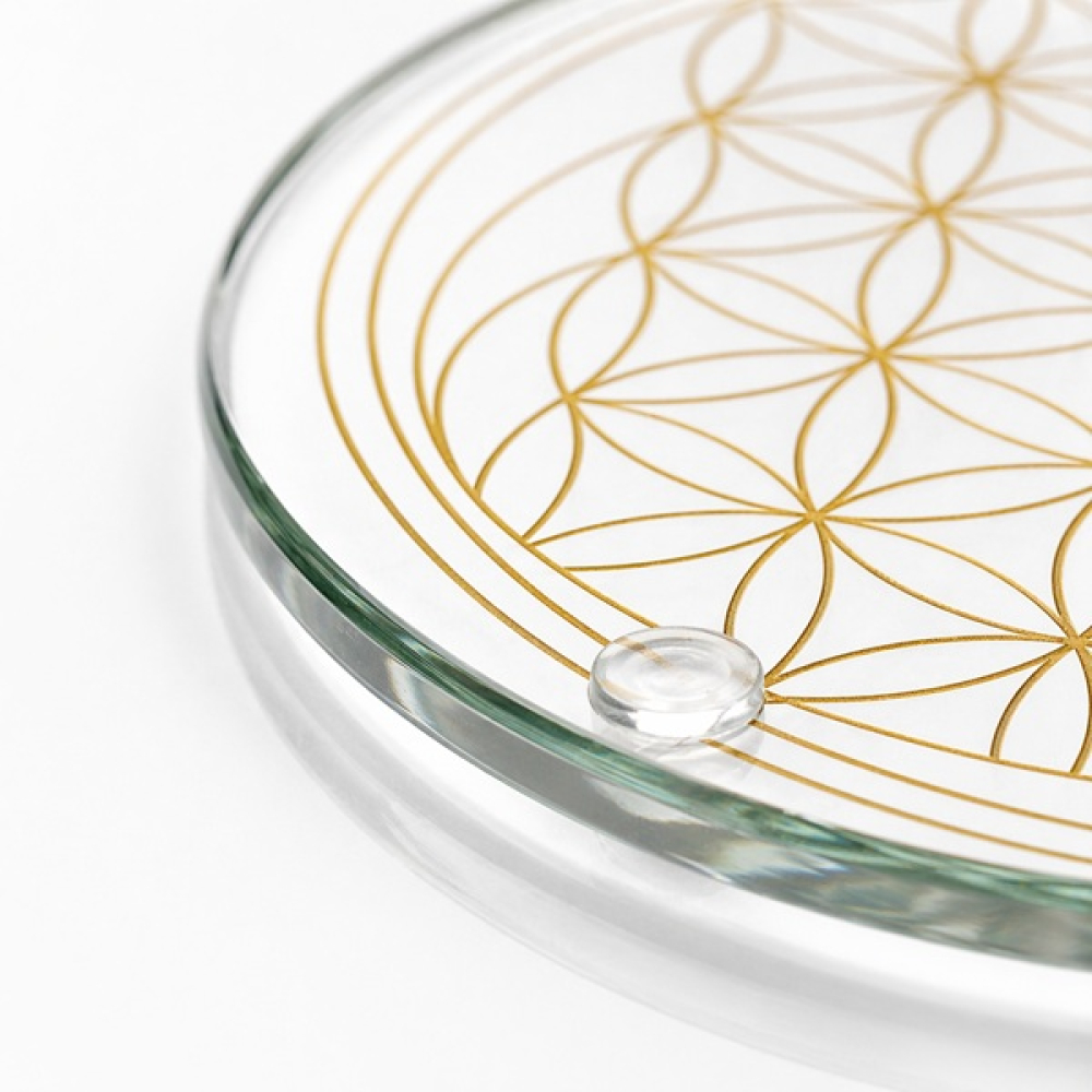 Detailaufnahme des Glasrands eines hochwertigen Kristallglasuntersetzers mit goldener Gravur